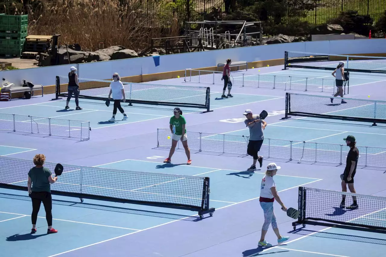 Pickle in the Land pickleball tournament coming to Cleveland