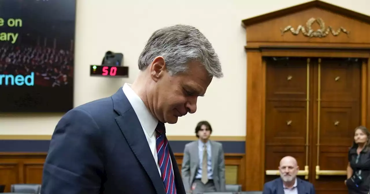 FBI Director Christopher Wray gets the smackdown he so richly deserves