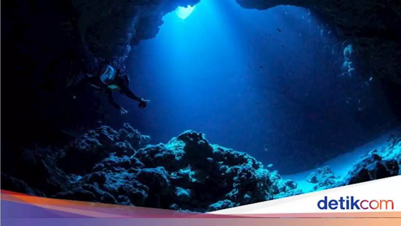 6 Fakta Unik Challenger Deep, Titik Terdalam di Bumi