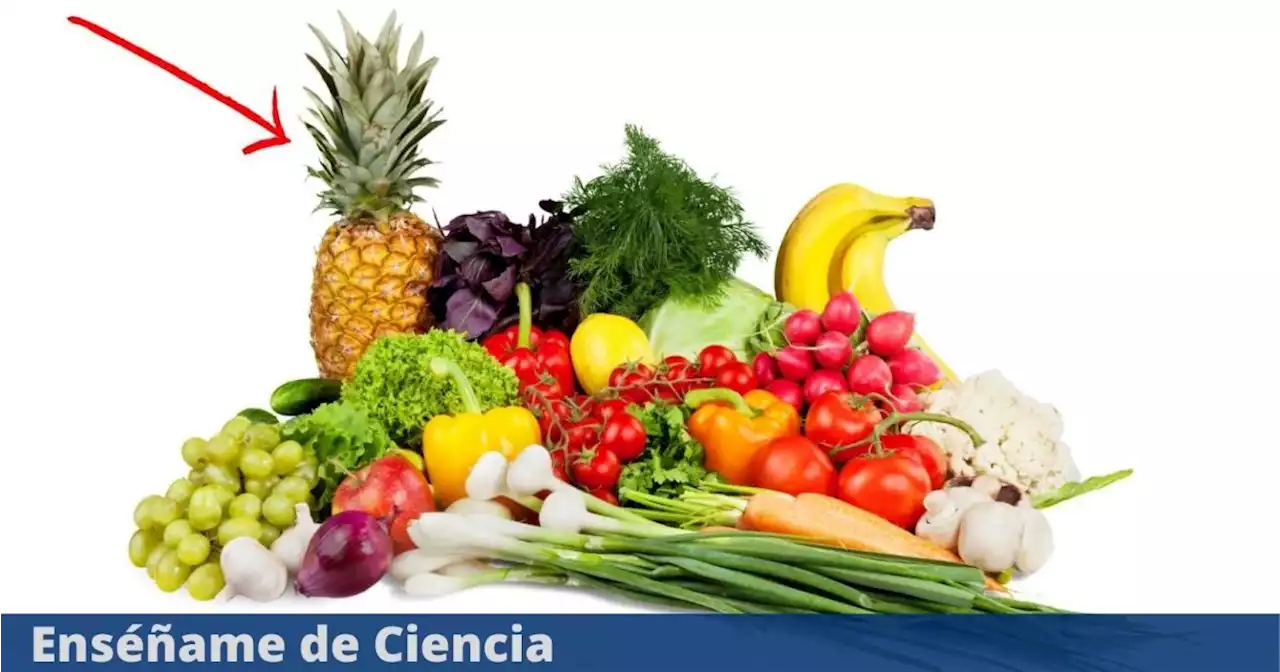 La manera correcta de almacenar las frutas y verduras para conservarlas por más tiempo