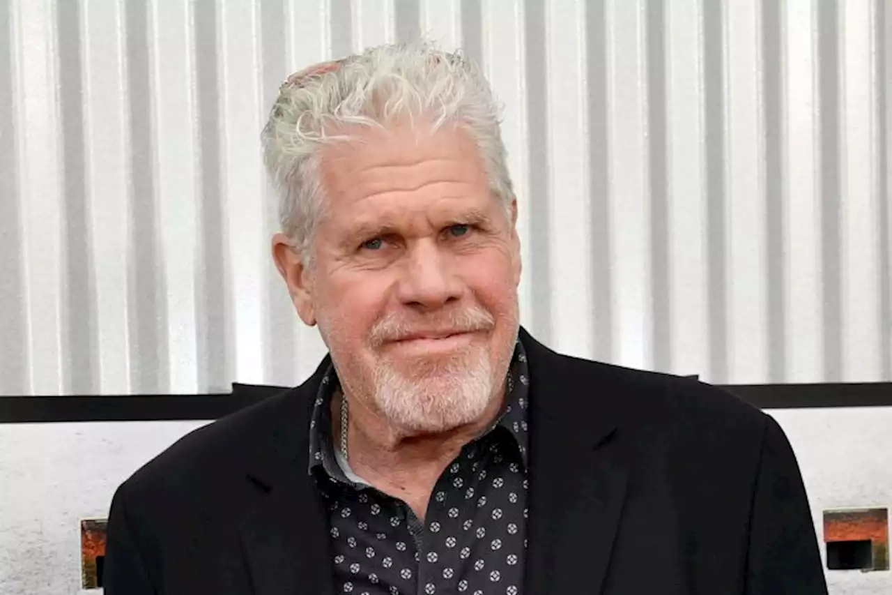 Ron Perlman Shreds Hollywood Exec Who Said Studios Will Extend Strike Until Actors Lose Their Homes: ‘You Wish That On People?’