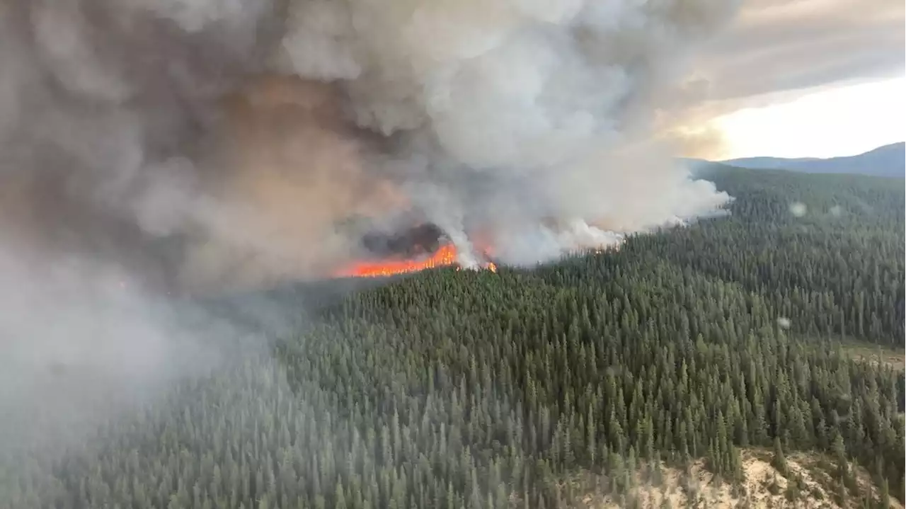 Mégafeux au Canada : la barre des 10 millions d'hectares brûlés a été franchie, soit un cinquième de l'Hexagone, selon les données du gouvernement