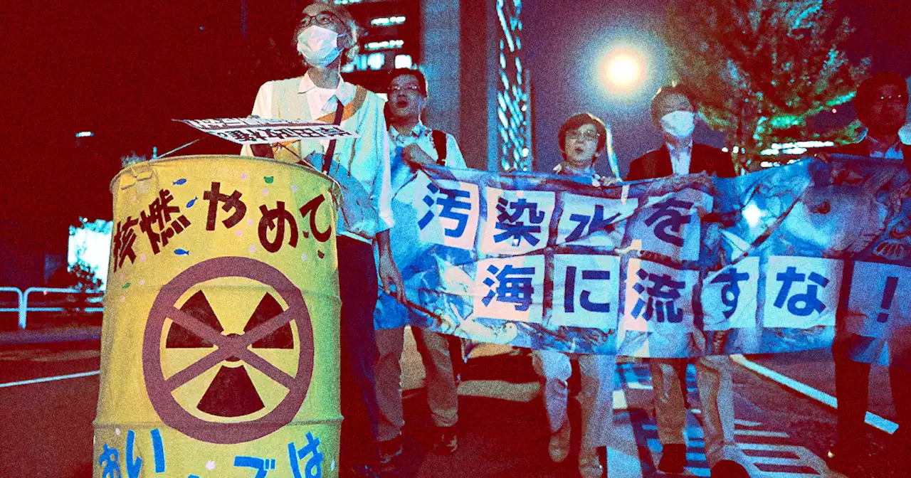 UN Approves Japan's Plan to Dump Fukushima Water Into Ocean