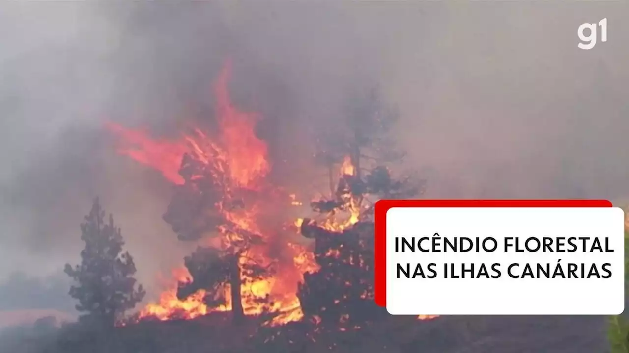 Incêndios atingem as Ilhas Canárias, na Espanha, em meio à onda de calor no Hemisfério Norte