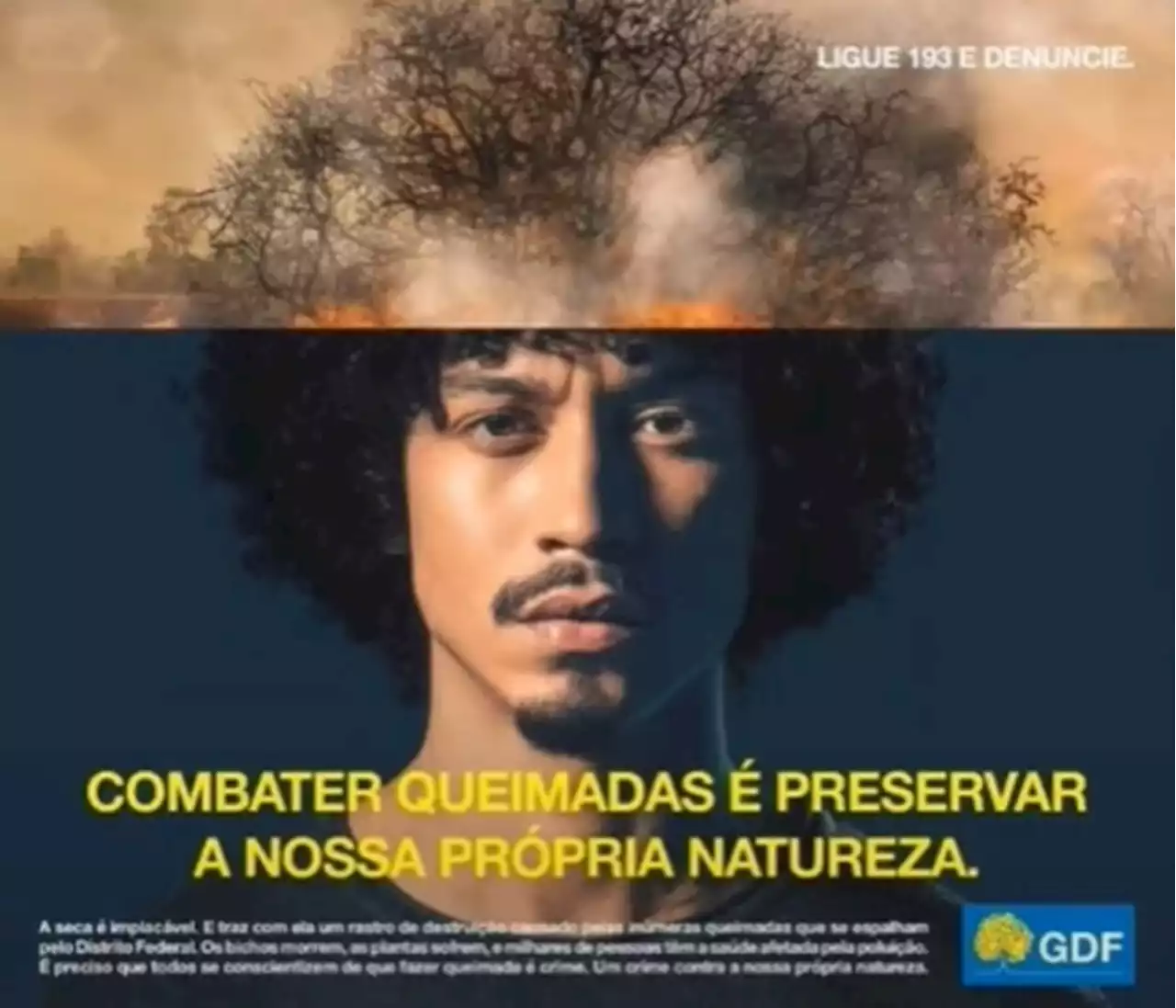 Ministério Público analisa propaganda do GDF que associa cabelo cacheado a queimadas