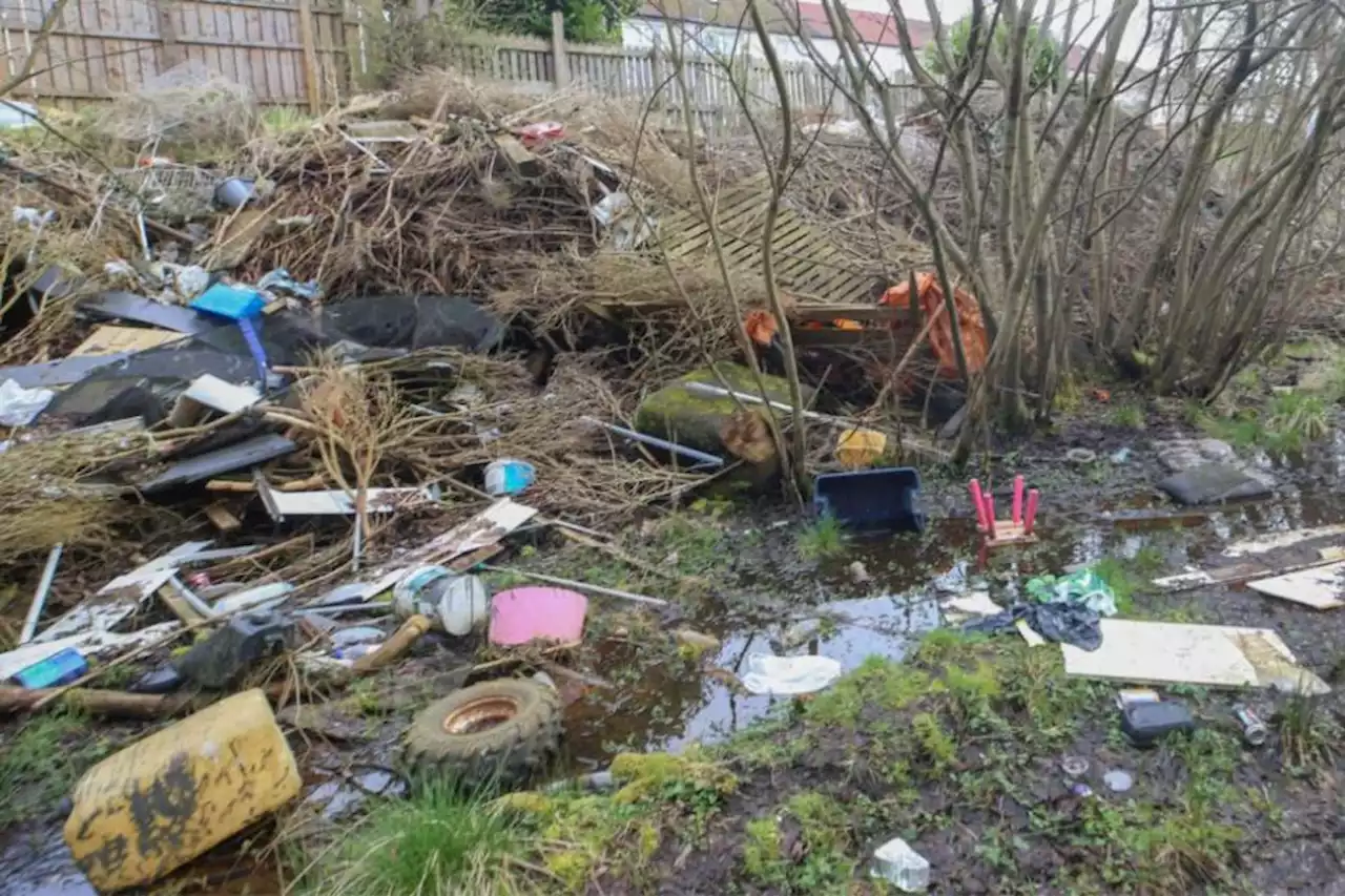 Number of fly-tipping reports made to Glasgow City Council revealed