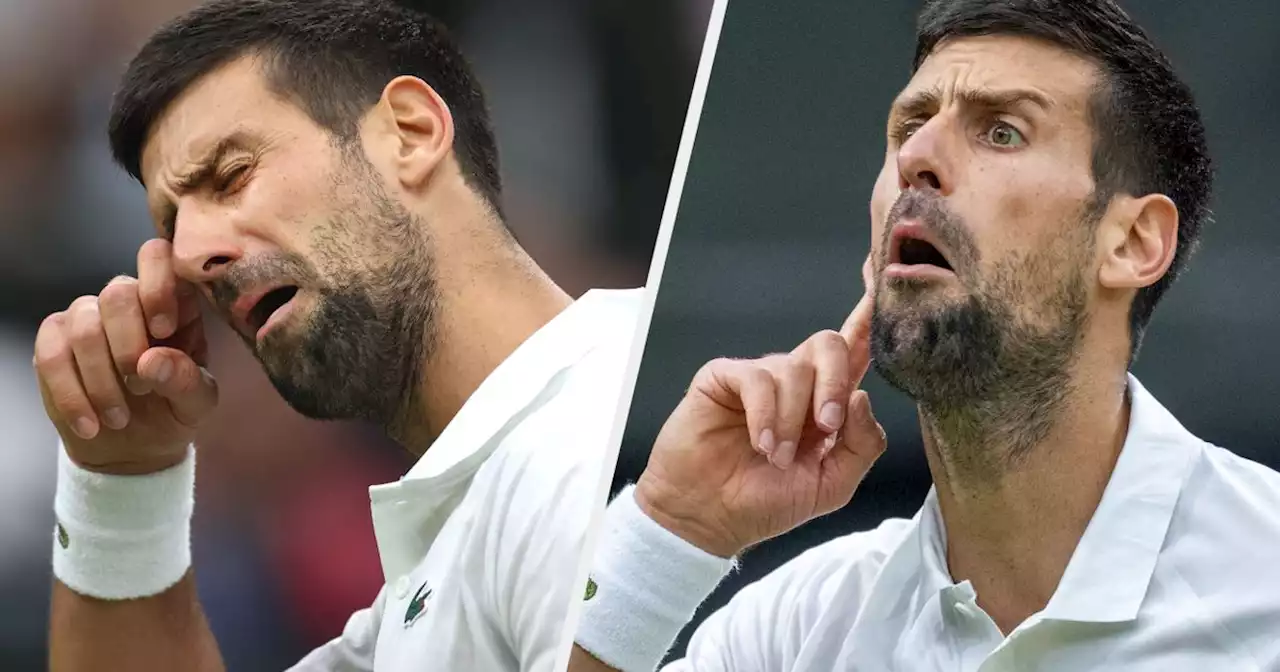 Novak Djokovic Mocks Wimbledon Crowd While Cruising To Final