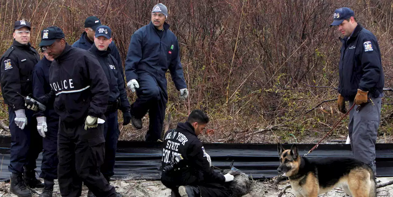 Negli Stati Uniti è stato arrestato un uomo sospettato di essere il 'serial killer di Long Island' - Il Post