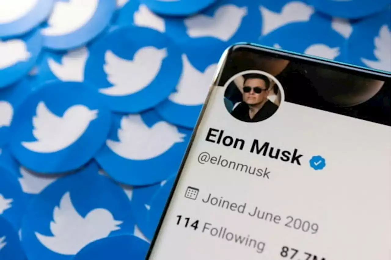 Elon Musk says xAI will use Twitter data and work with Tesla