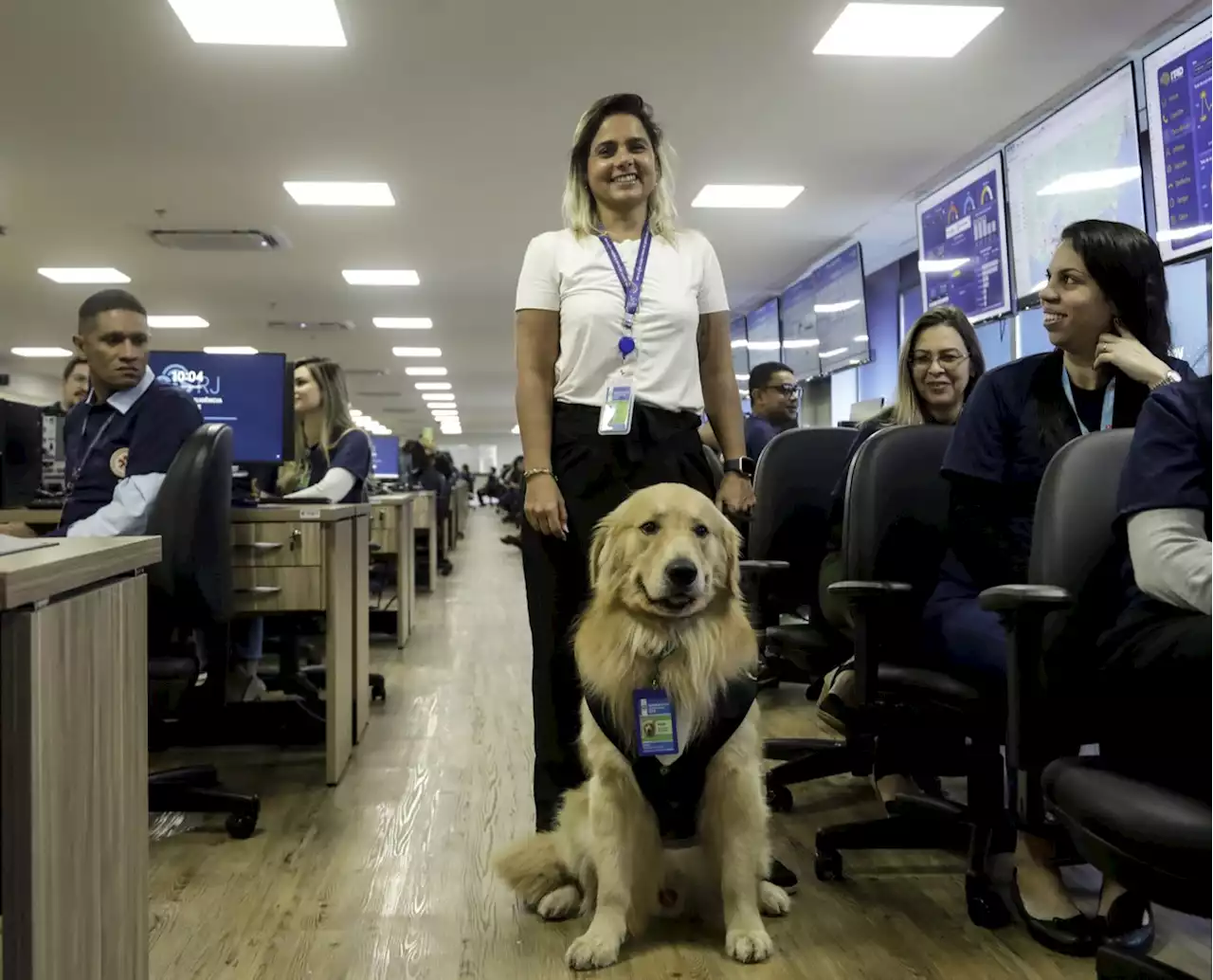 De crachá, Rudá 'bate ponto' como cão de suporte emocional na Secretaria de Saúde do estado