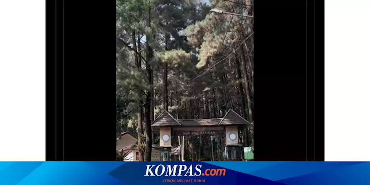 Video Viral 'Wisata Pungli' di Gunung Pancar Bogor, Begini Tanggapan Pemkab