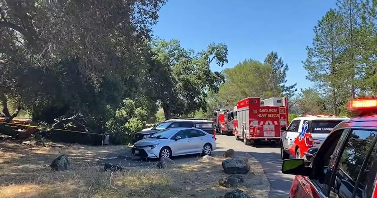 Tree topples in Santa Rosa park, injuring 6 people