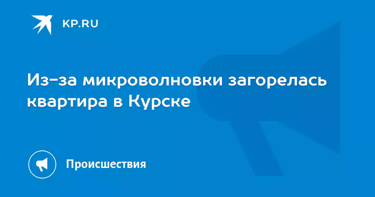 Из-за микроволновки загорелась квартира в Курске