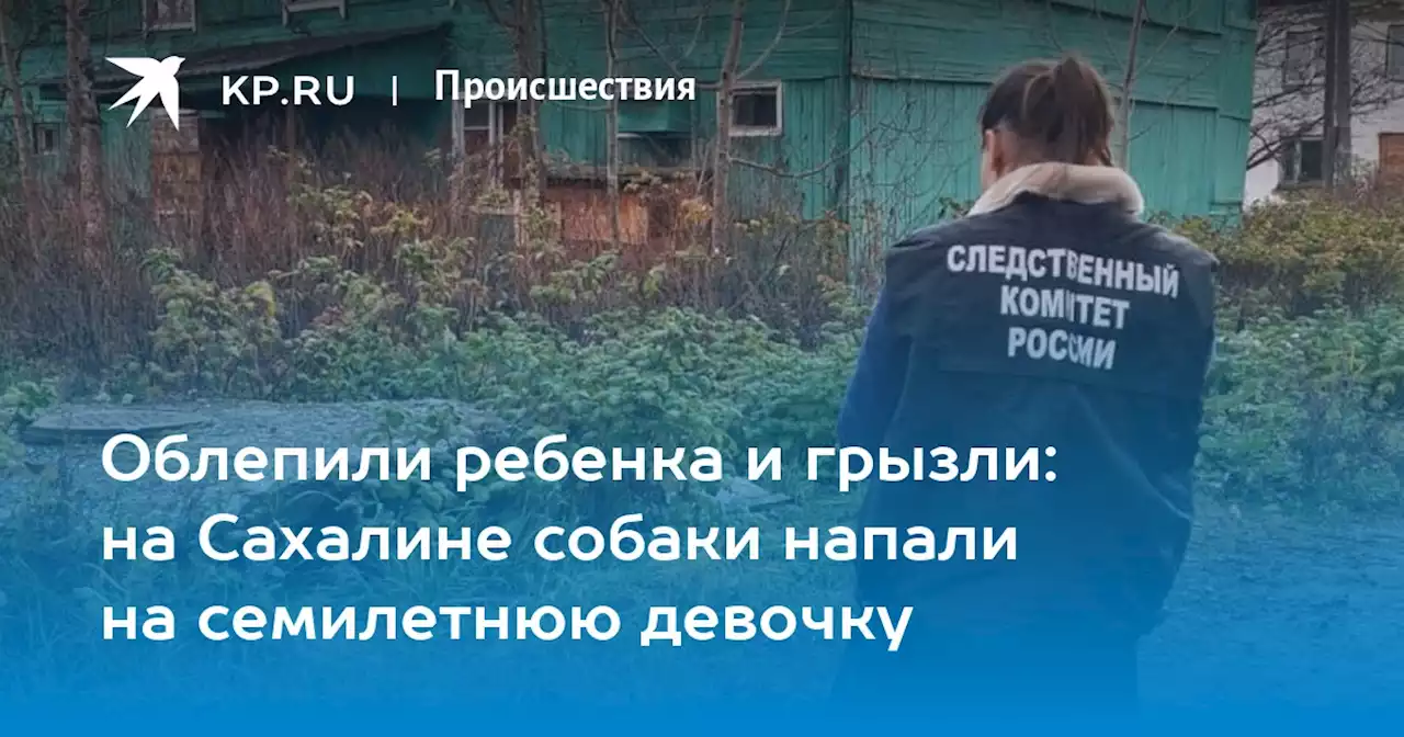 Облепили ребенка и грызли: на Сахалине собаки напали на семилетнюю девочку