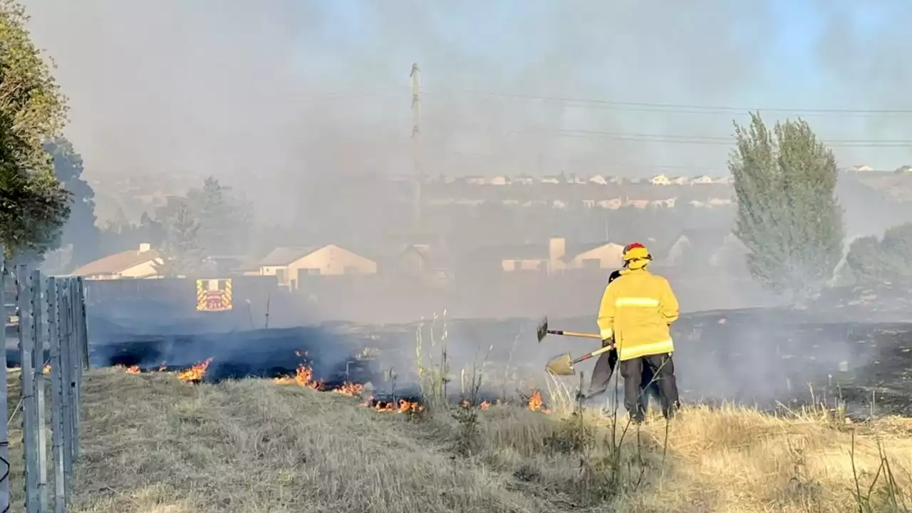 Vallejo MMA artist detains suspected arsonist with stolen Tesla: Reports