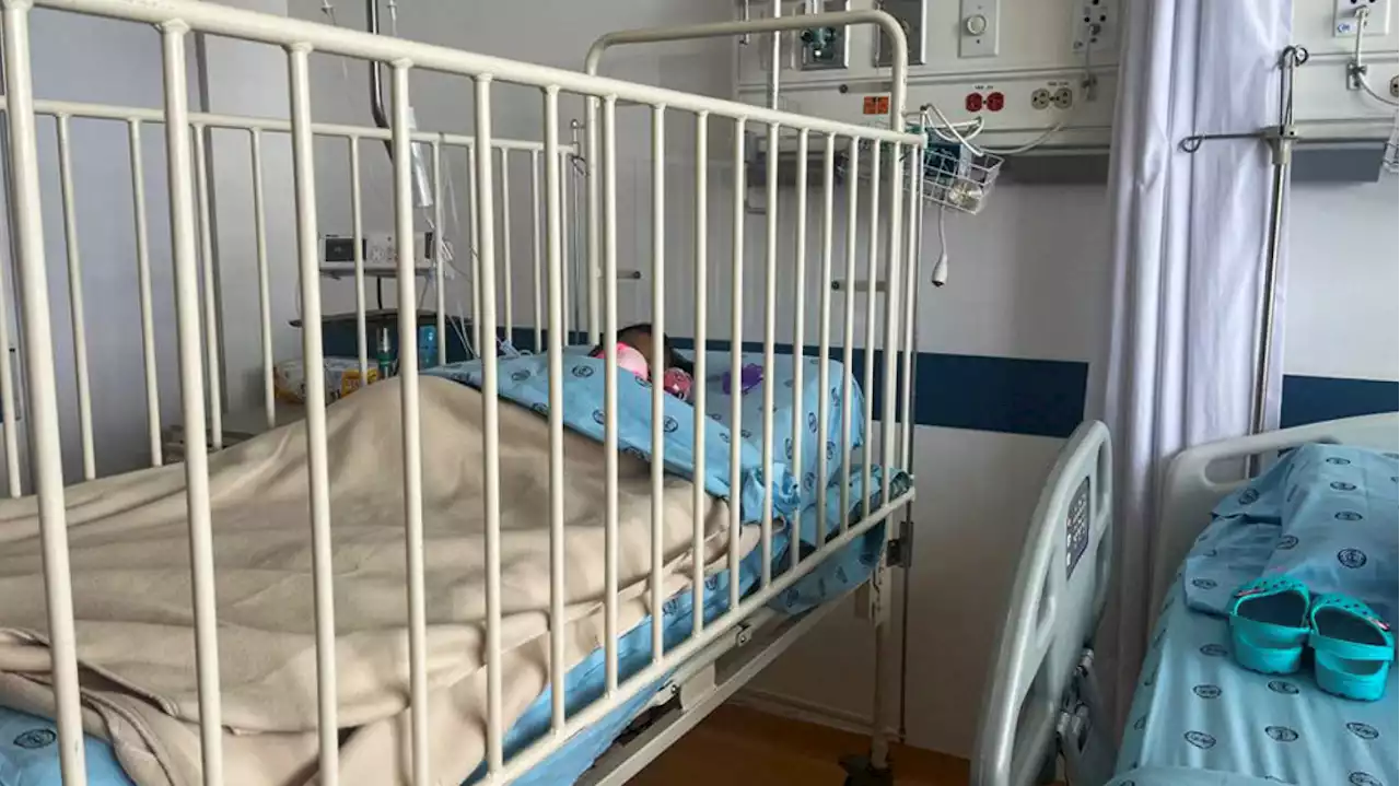 Après un mois à l’hôpital, les enfants sauvés de la jungle colombienne sont « complètement rétablis »