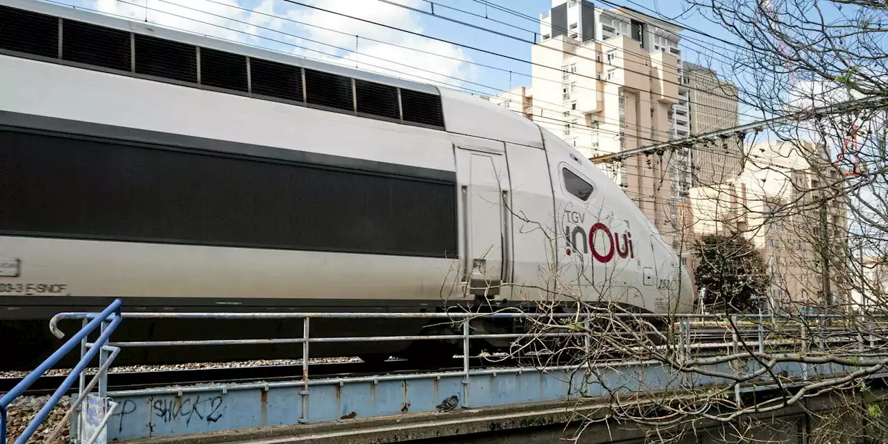 TGV Annecy-Paris : l’auteur du coup de feu mis en examen et écroué