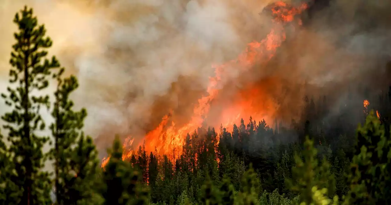 Au Canada, la barre des 10 millions d’hectares de forêt brûlés déjà franchie, un record