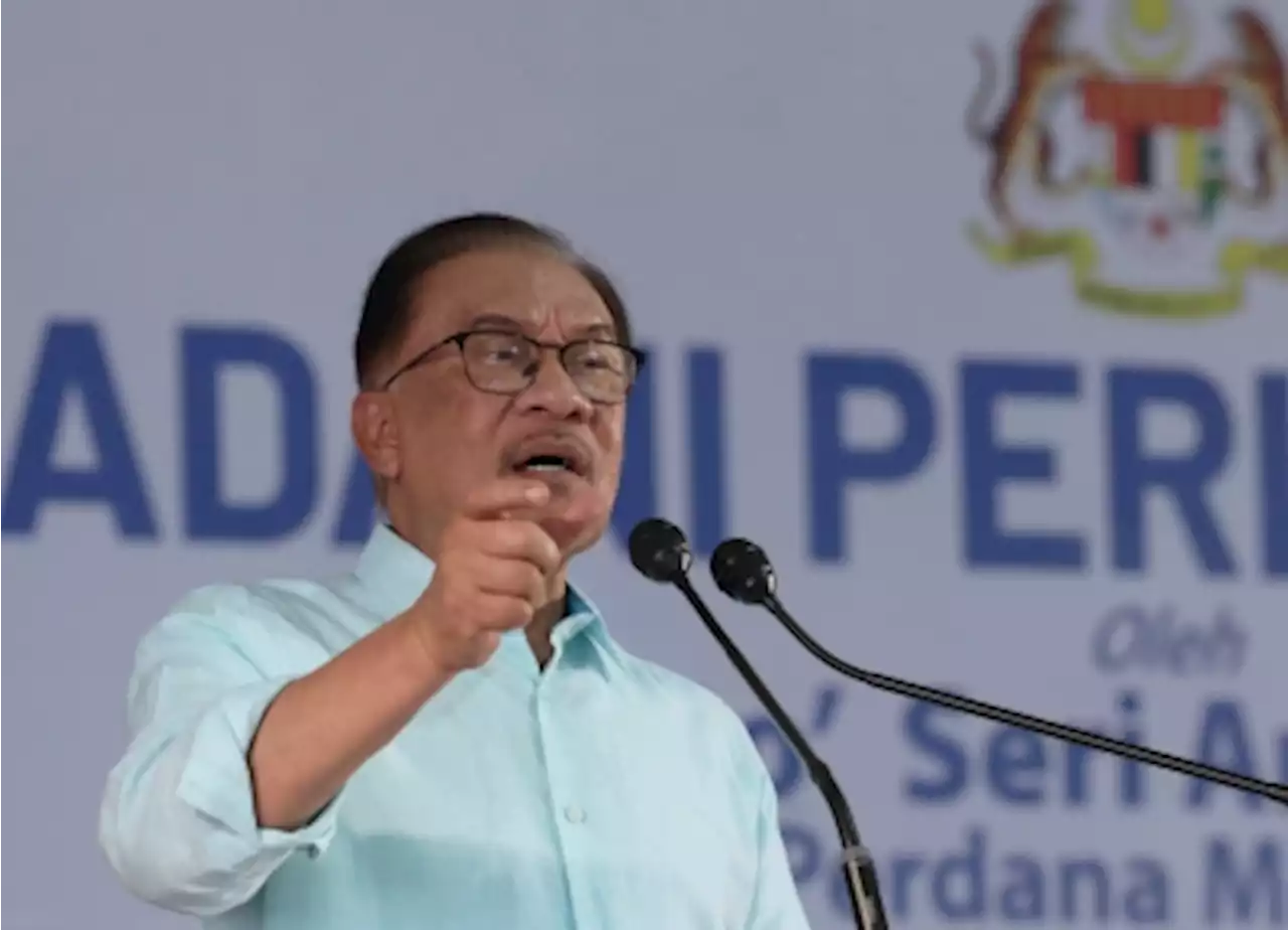 PM Anwar: Unity govt to protect paddy farmers' well-being, boost their income