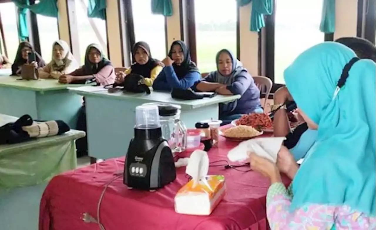 Kementan Bimbing Poktan Wanita Tani Pinrang Buat Saus Tomat dan Cabai