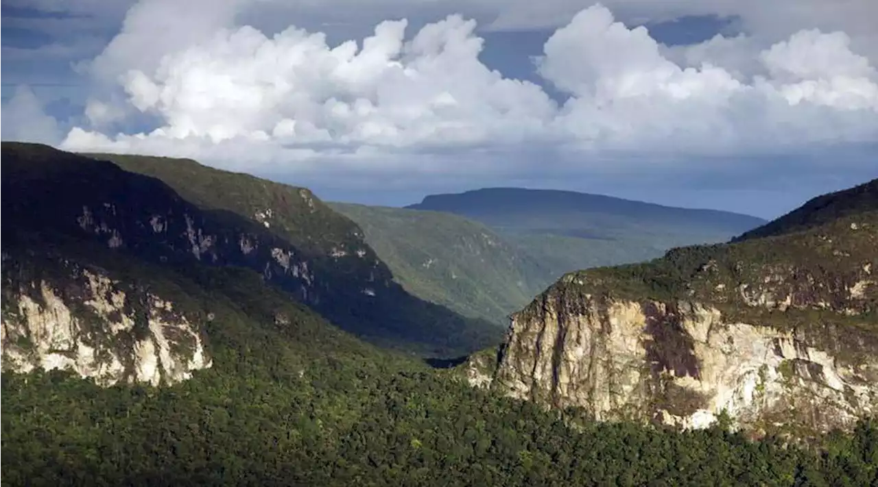 Brasile, salvato turista italiano disperso da tre giorni in Amazzonia