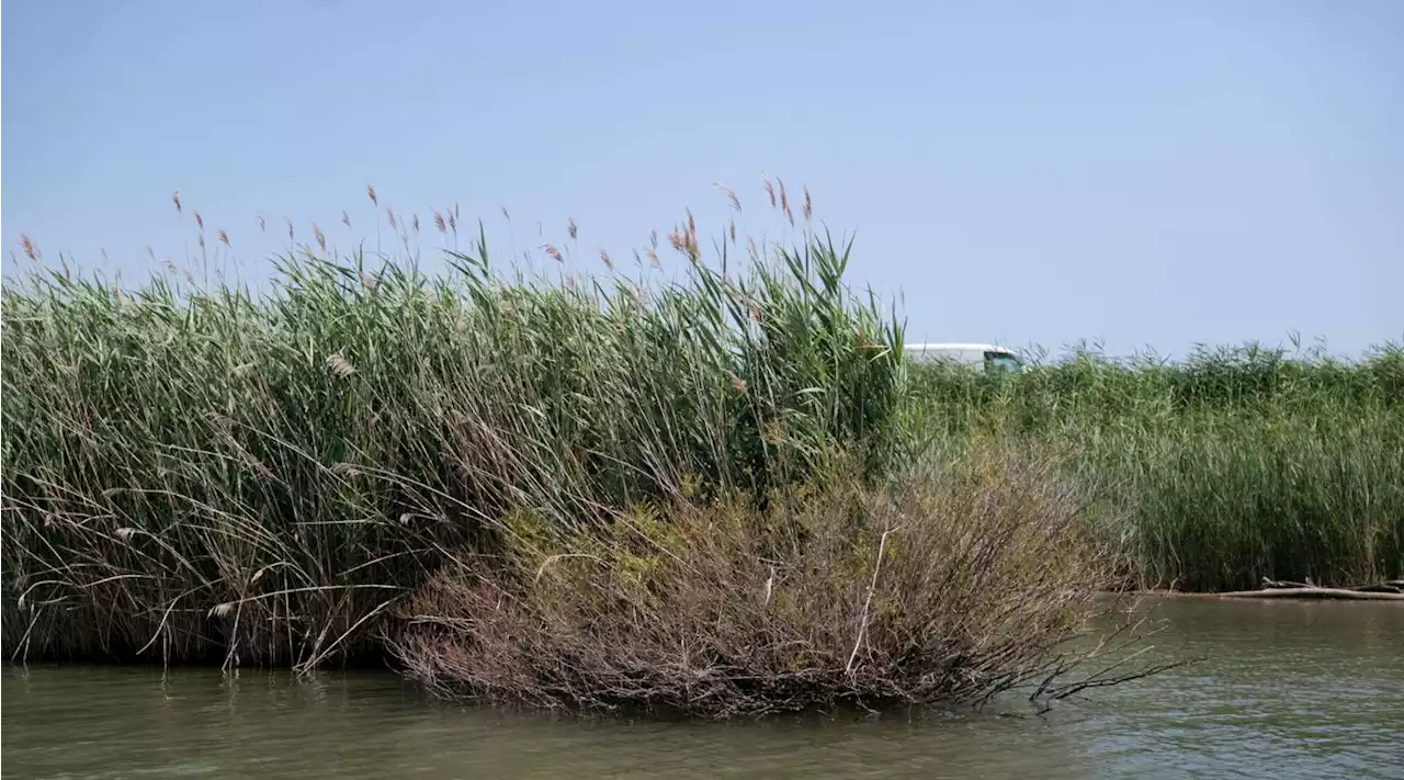 Mantova, ritrovati i corpi di due annegati nel Po