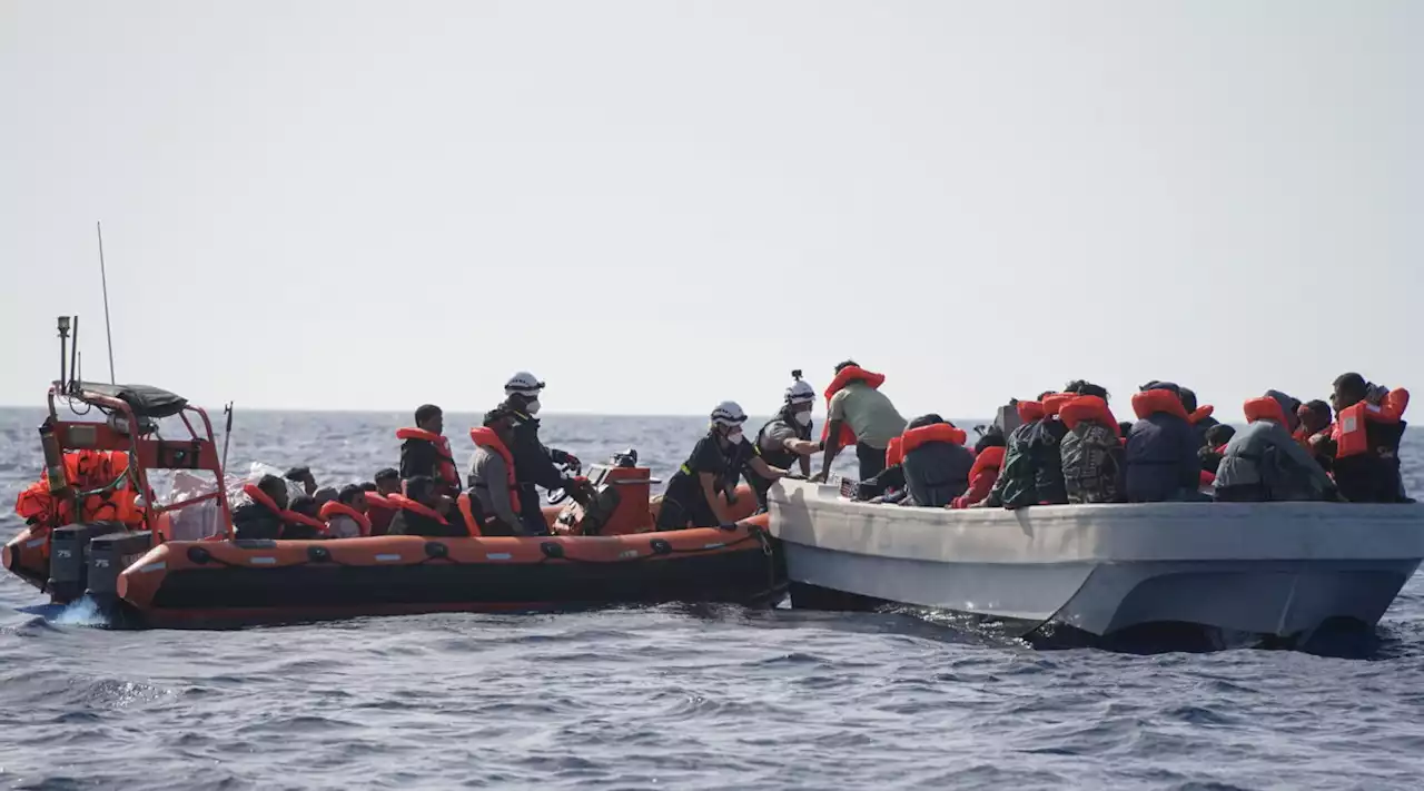 Migranti, Piantedosi: 'La legge Bossi-Fini si è rivelata inefficace'