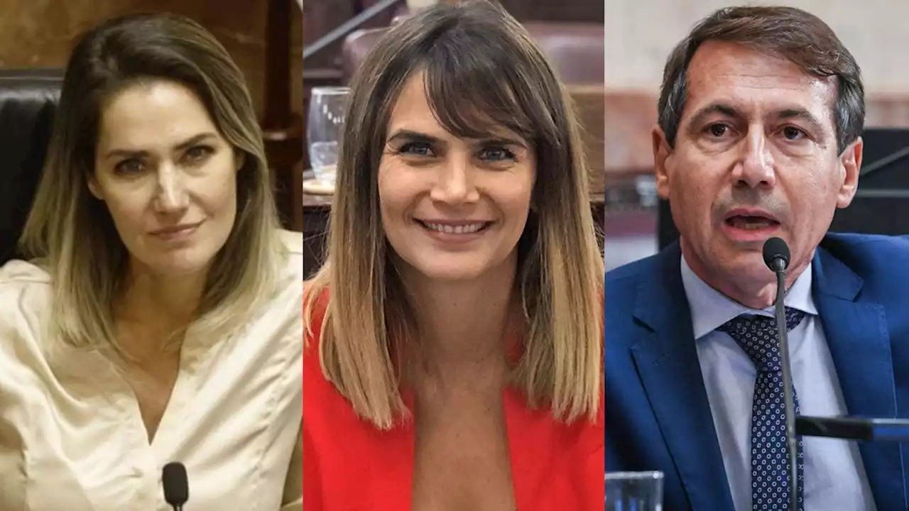 Amalia Granata destrozó a Carolina Losada y a Luis Naidenoff