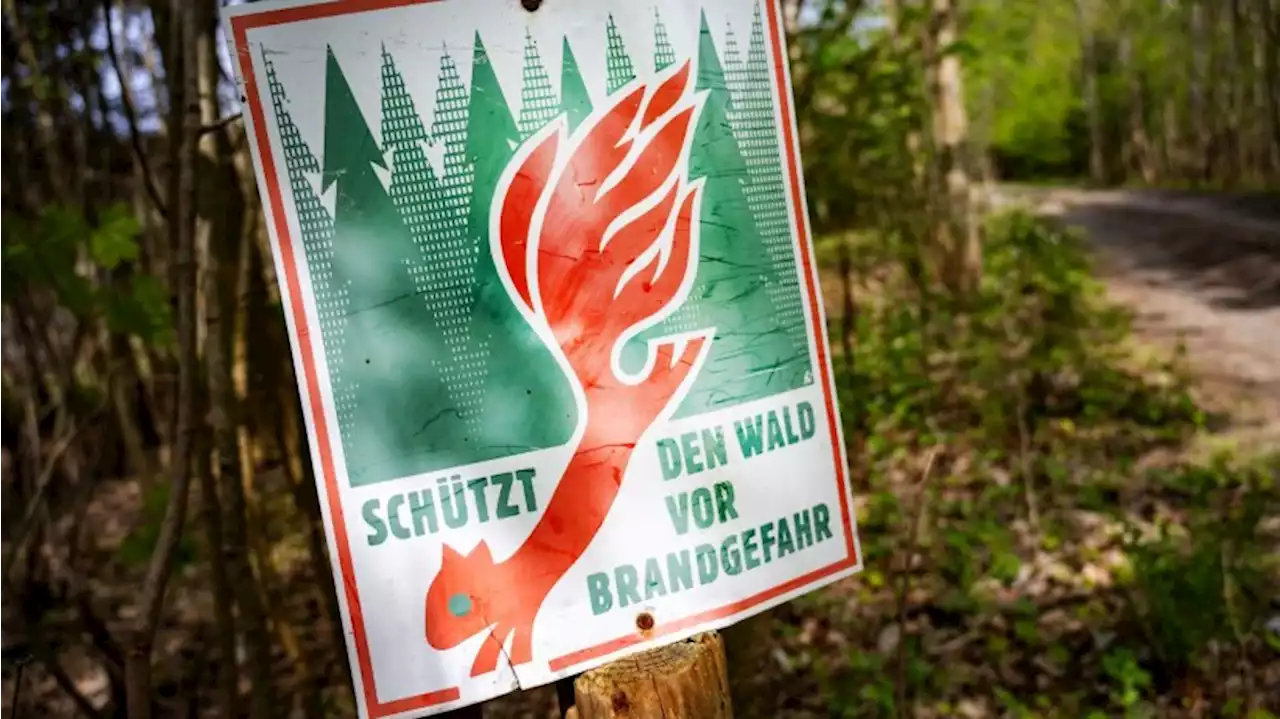 Wetterdienst sieht sehr hohe Waldbrandgefahr in Brandenburg