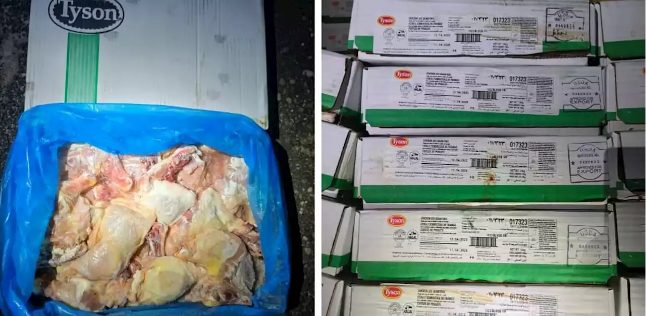 GOF seize illegally imported frozen chicken worth over RM500,000 in Sabah