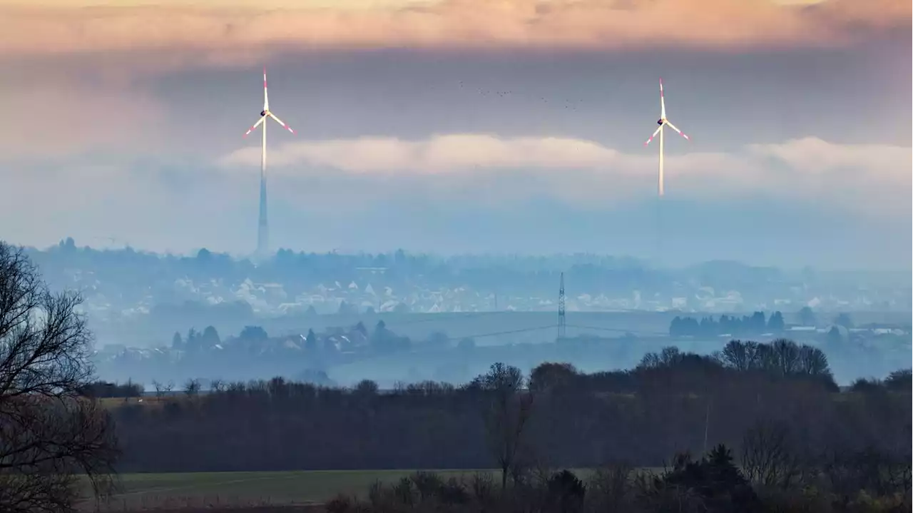 Wie echter Klimaschutz gelingen kann: „Es gibt eine Mehrheit für eine Veränderung – sie weiß es nur nicht“