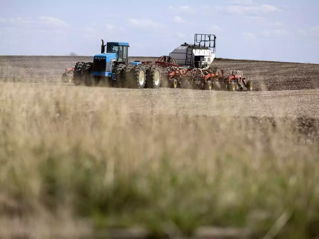 Regional municipality declares local state of emergency due to drought, infestation