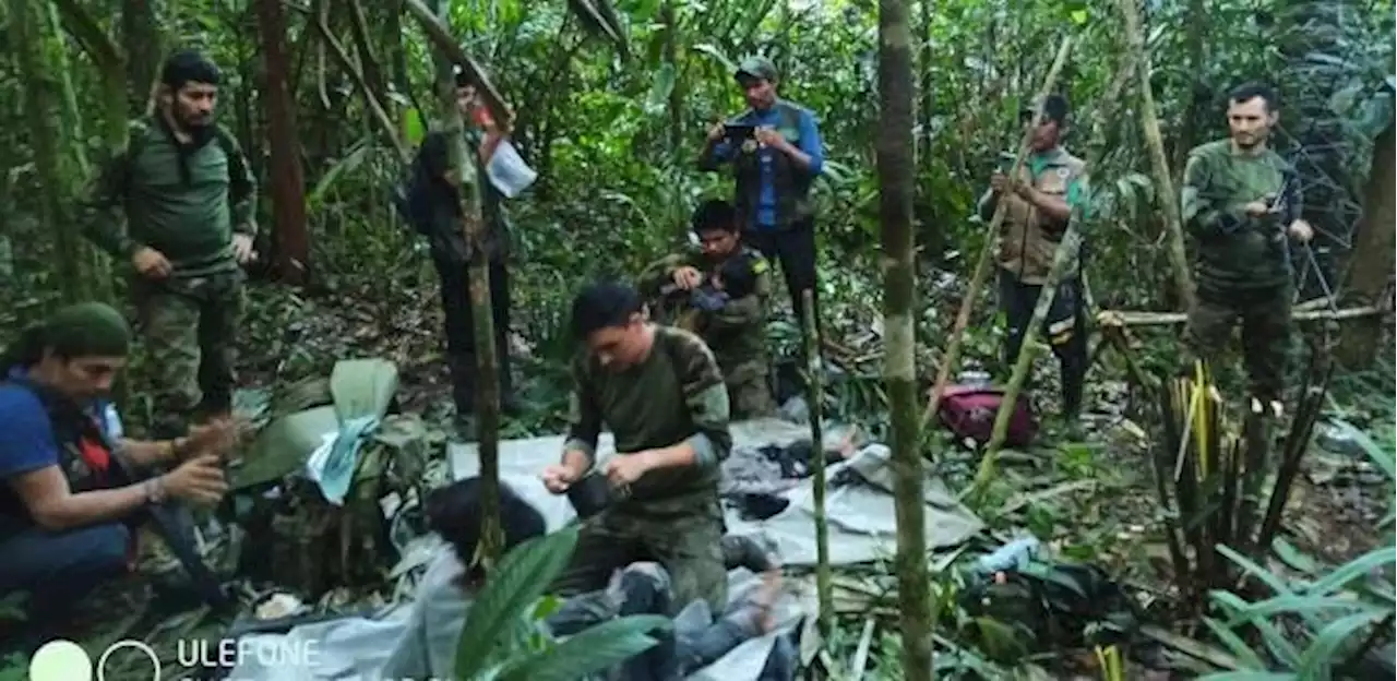 Crianças colombianas resgatadas na selva após 40 dias recebem alta médica