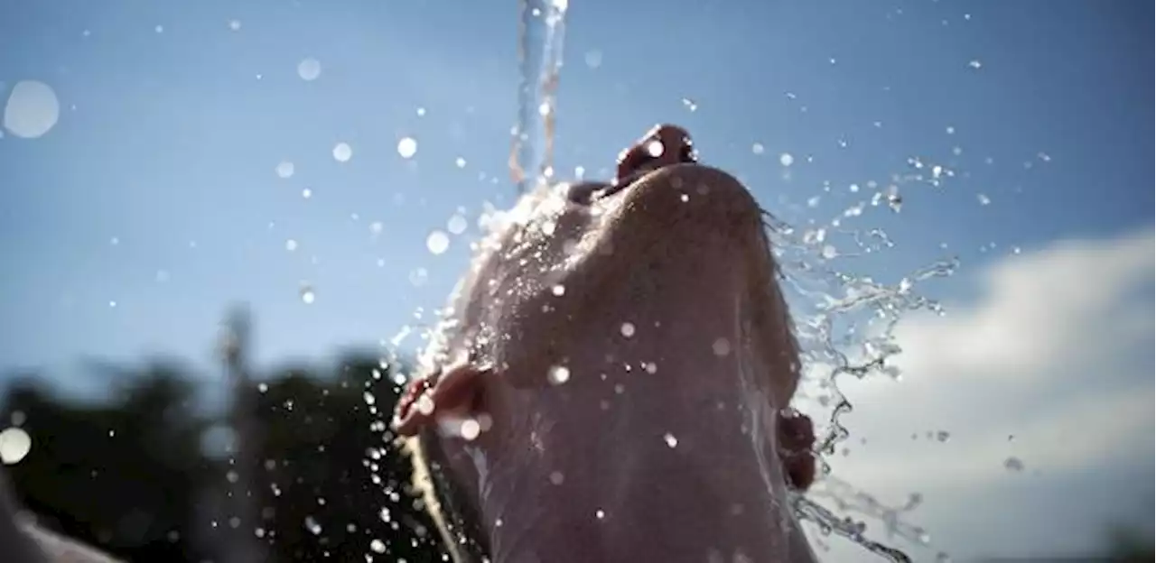 Forte onda de calor atinge sudoeste dos EUA