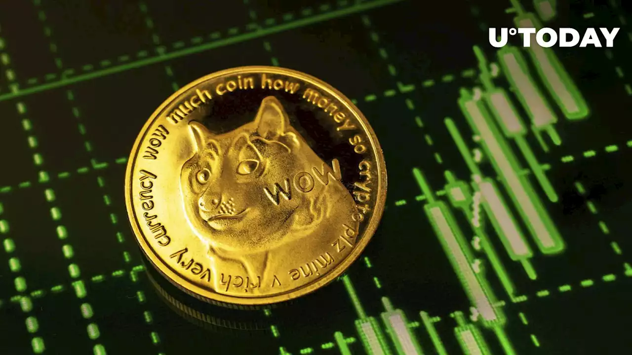 Dogecoin (DOGE) Leads Meme Coin Rally, Here's Why