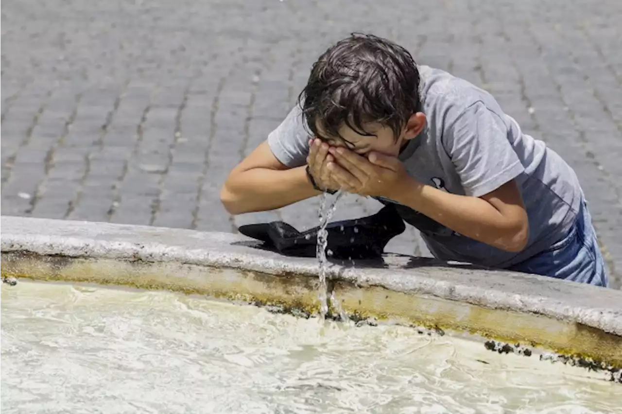 Calor extremo: Europa caminha para recordes de temperatura