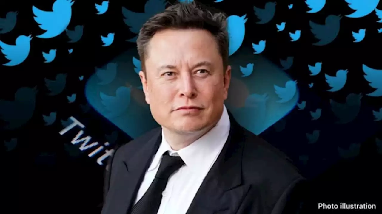 Kreator Twitter Mulai Dapat Gaji dari Elon Musk