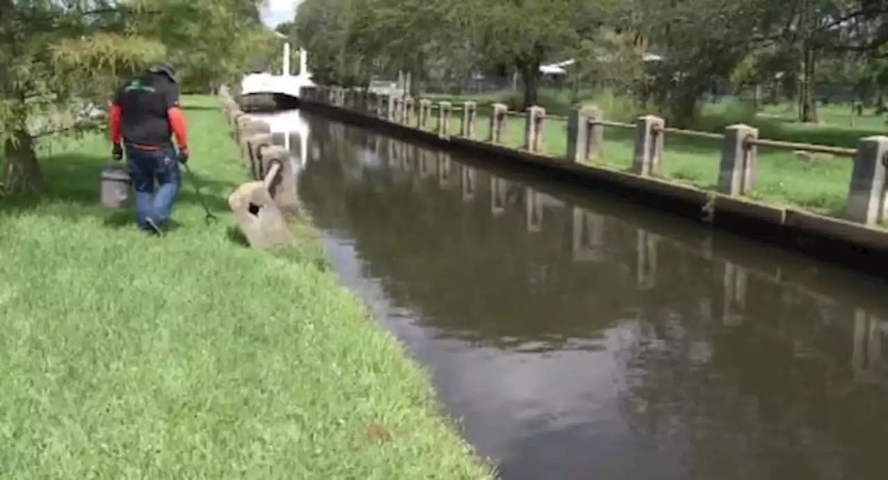 Volunteers lend helping hand to keep Hogan Creek clean