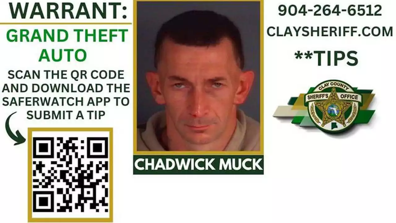 Clay County’s Fugitive Friday highlights man wanted for grand theft auto