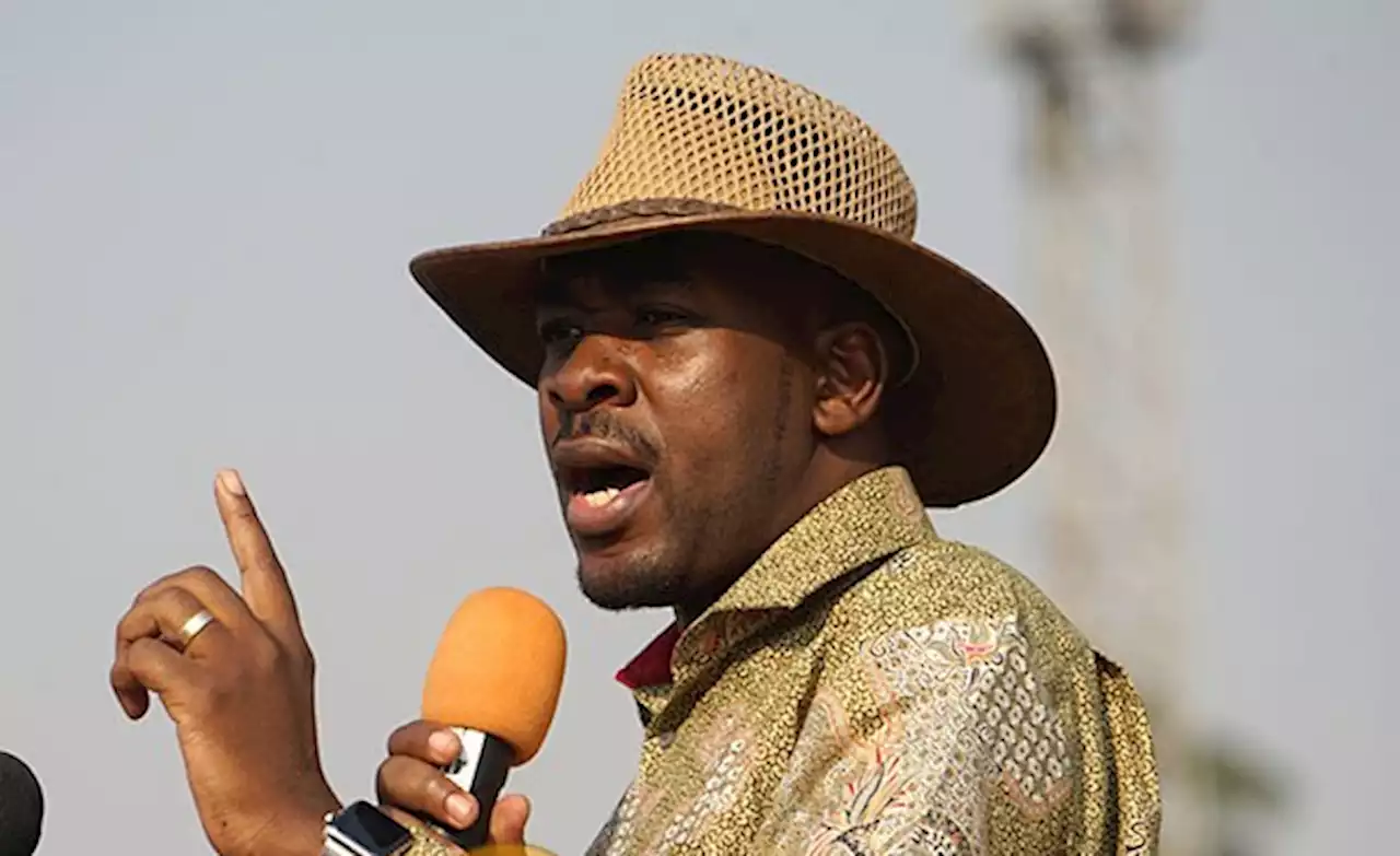 Zimbabwe: Chamisa Vows to Revive Zimbabwe's Failing Healthcare System, Blasts Zanu-PF Leaders for Seeking Medical Treatment in Foreign Lands