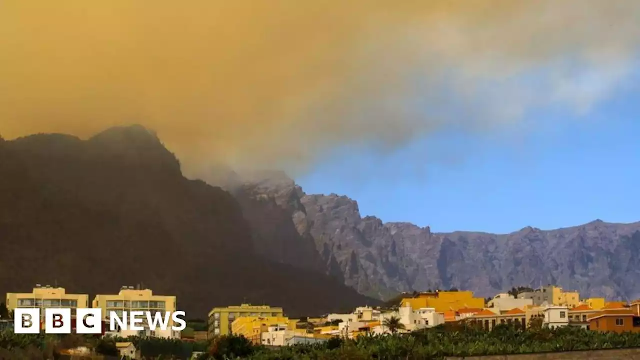 La Palma: Thousands evacuated as Canary Island wildfire burns