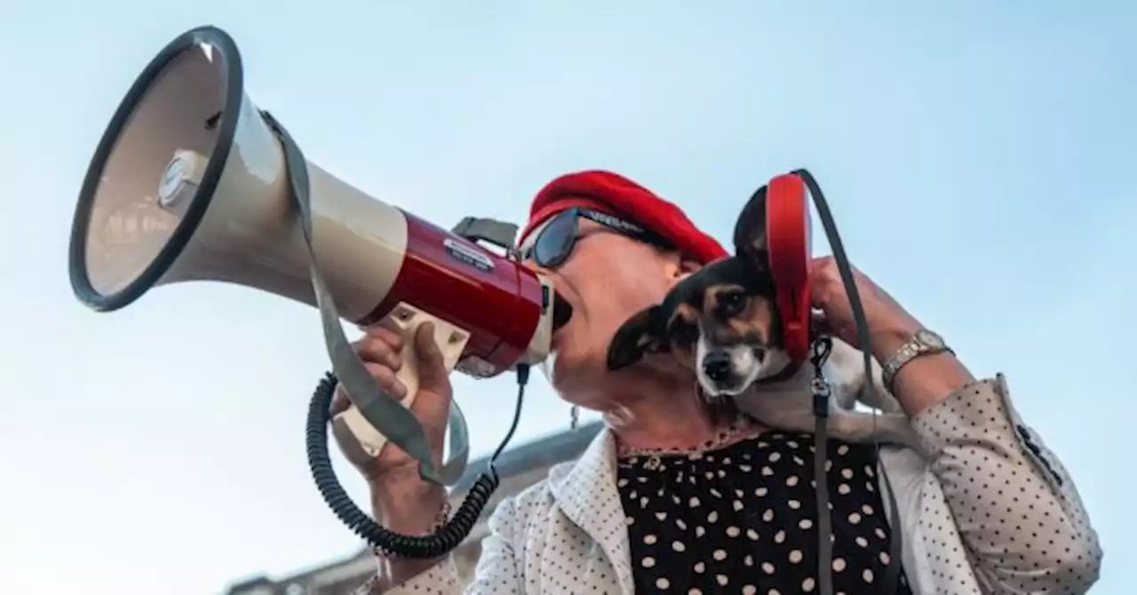 Trans Activist Arrested After Video Calling for Feminists to Be 'Punched'