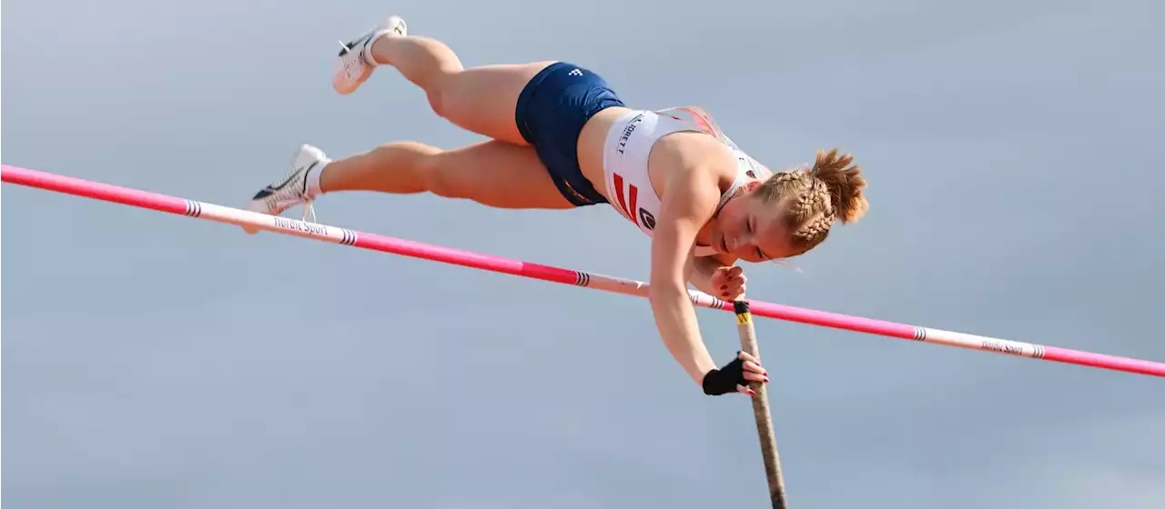 Faye med historisk norsk bronse i stavsprang