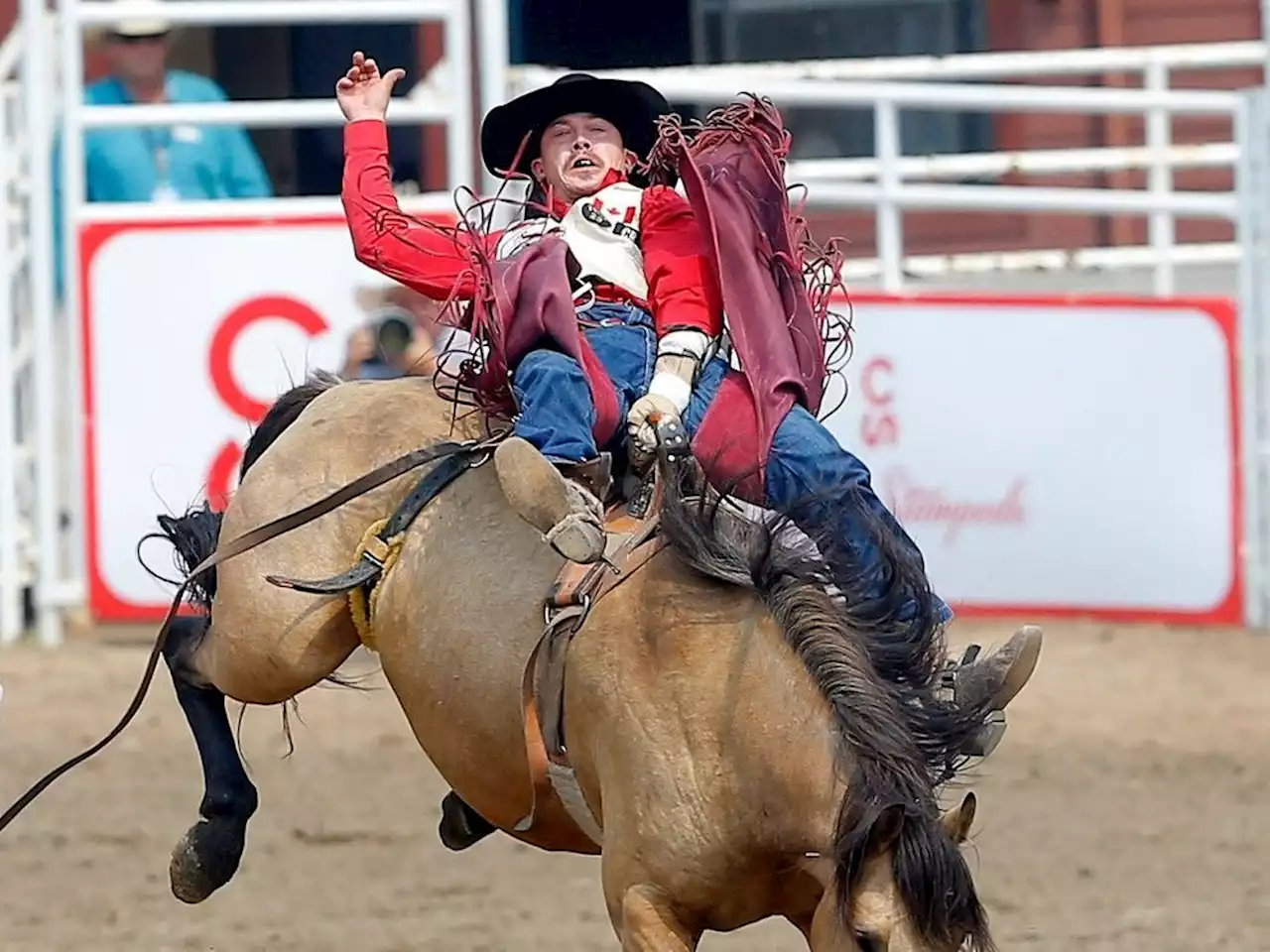 RODEO NOTES: Alberta bareback rider Kody Lamb living Stampede dream