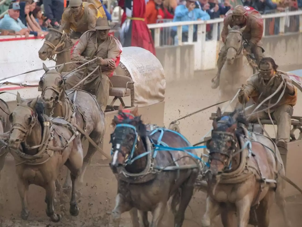 Bensmiller, MacGillivray, Knight earn spots in Rangeland Derby championship dash