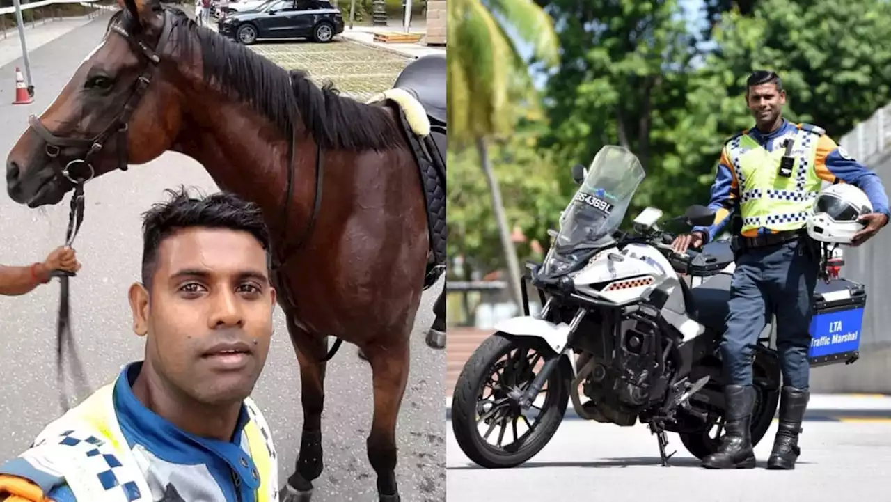 'I had to protect road users': Traffic marshal who stopped runaway horse on BKE