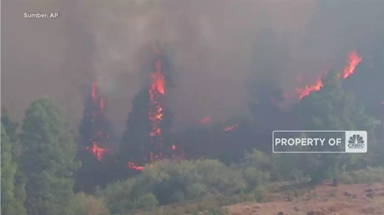 Kebakaran Hutan di Spanyol, 500 Orang Dievakuasi