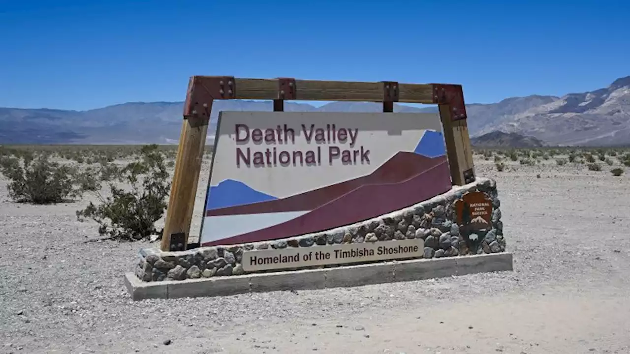 Five wild burros found shot to death in California's Death Valley National Park | CNN