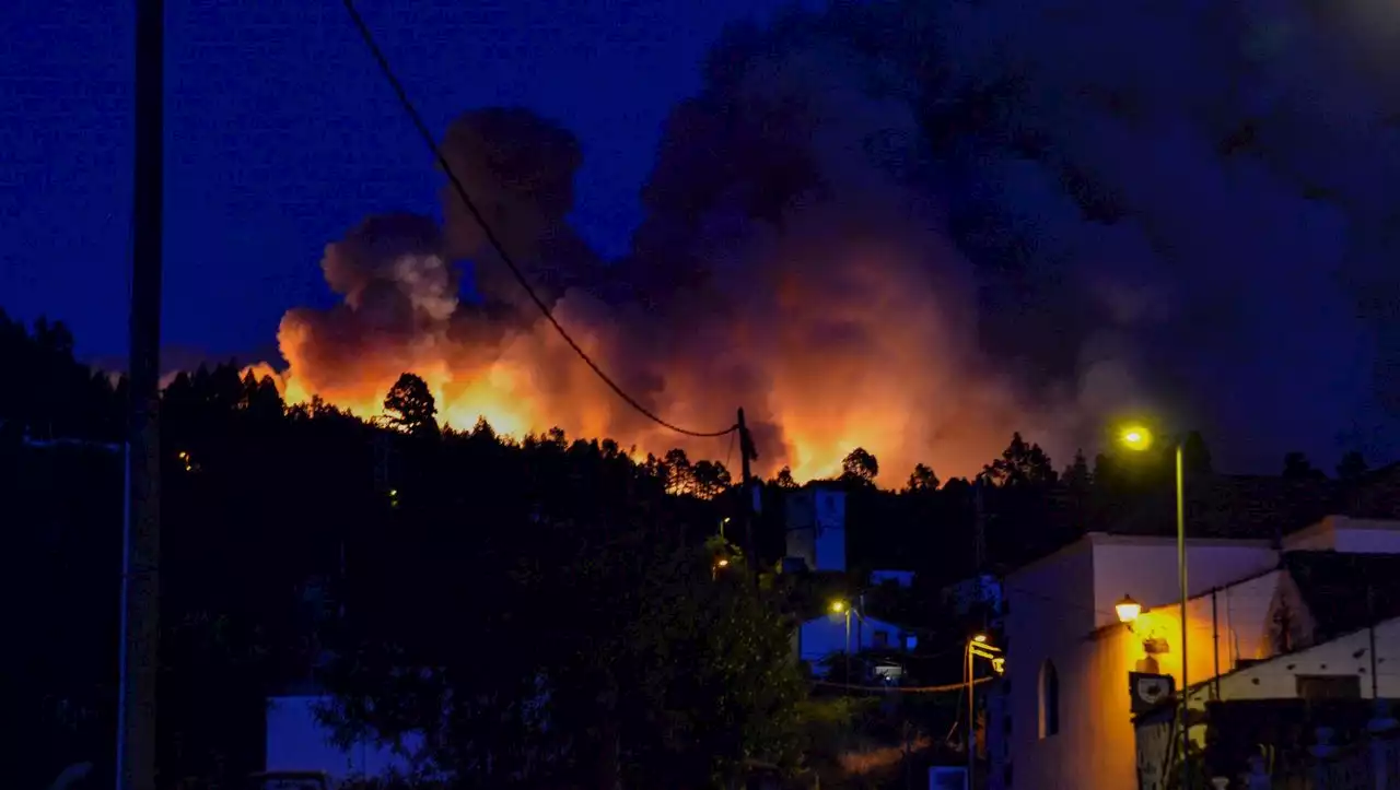 Waldbrand auf La Palma: Mehr als 4000 Menschen evakuiert