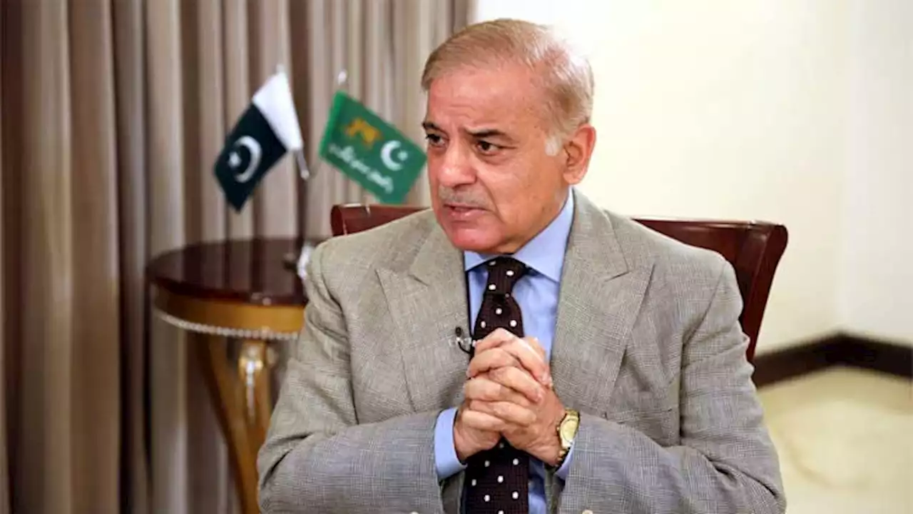 Nawaz will make Pakistan 'great' if voted back to power: Shehbaz
